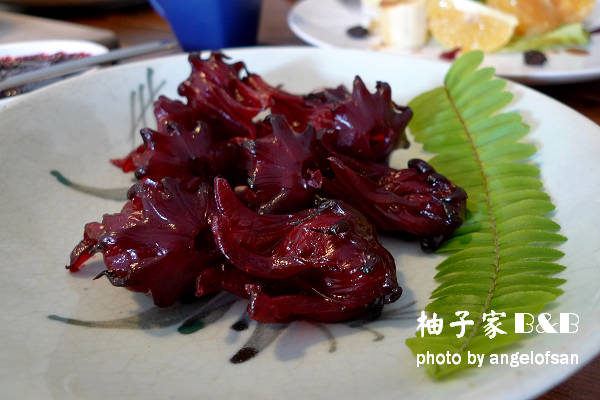 P1090100.JPG P1090100.JPG