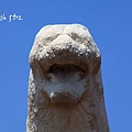 IMG_6009.JPG