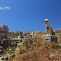 IMG_6000.JPG