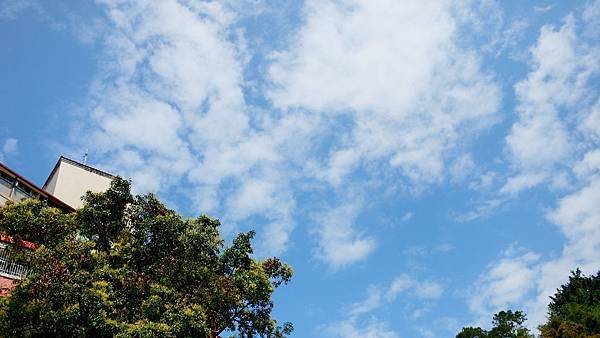 IMG_01 IMG_01