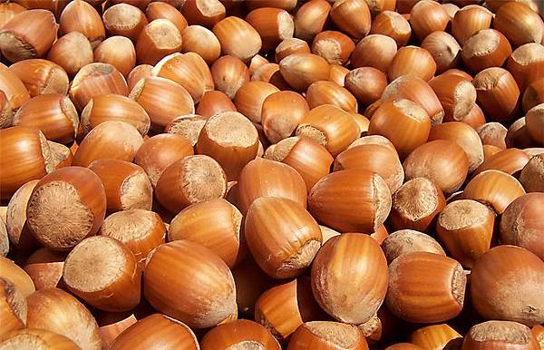 Hazelnuts