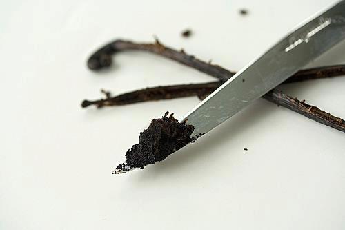 297142_374850365927235_79177624_n