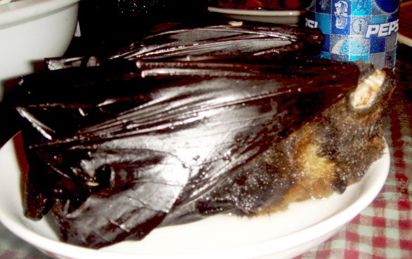 可怕的蝙蝠湯