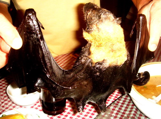 可怕的蝙蝠湯，嚇死人了