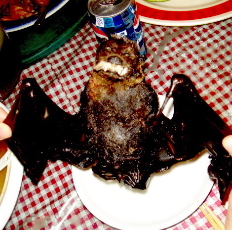 可怕的蝙蝠湯(撇牙利嘴)