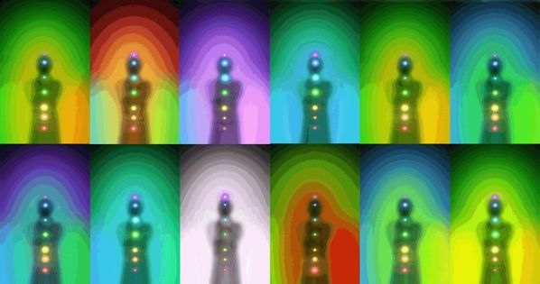 126079571_418060326249151_9152873328352136509_o