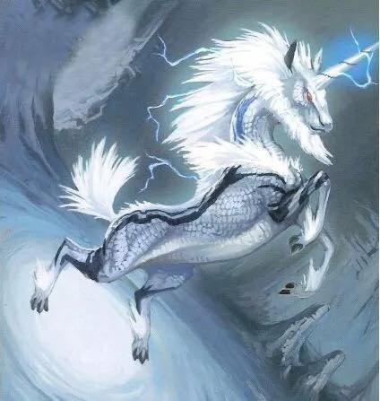 91991272_237903730931479_6441794222025605120_n