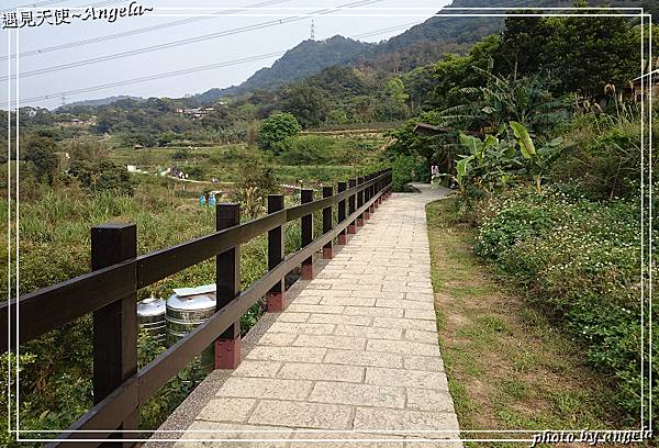 貓空樟樹步道04.jpg