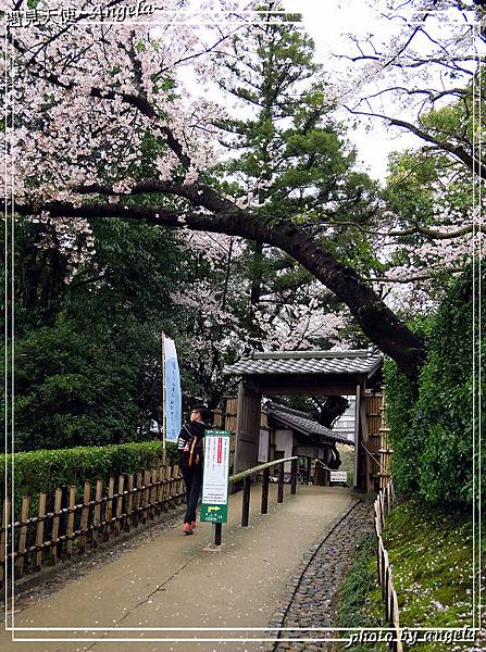 岡山後樂園34