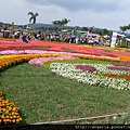 新社花海-11-繽紛台中地毯區-花毯區.JPG