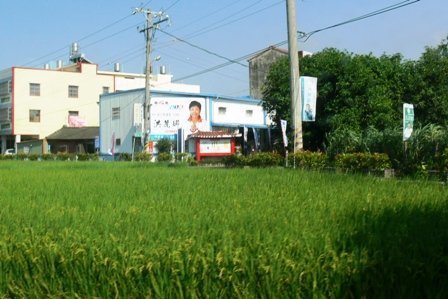 進發 -02.jpg 進發 -02.jpg