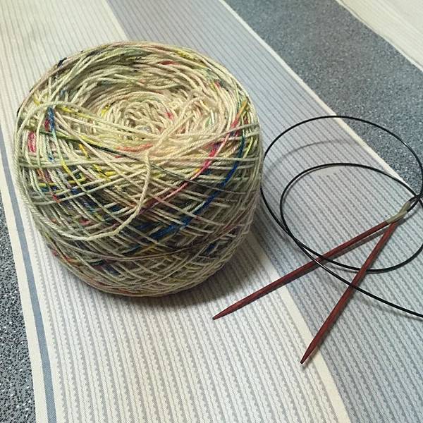 15220008_453267168130562_6085281317917231908_n