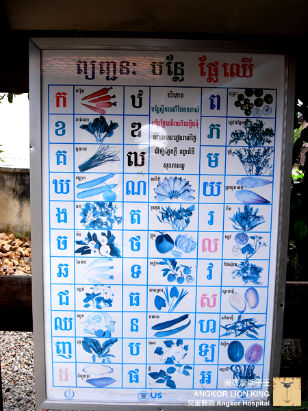 灌溉每一棵綠色小草～無國界兒童醫院Angkor Hospital for Children