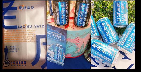 15540454_120300001100583627_206396537_o