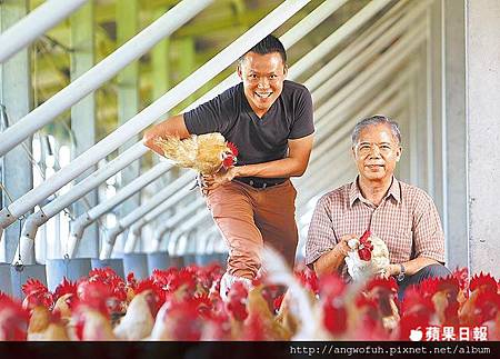 創業指南針：台灣品牌 桂丁雞 育種7年 年賣14億 明年計畫海外養殖揚名國際........轉貼蘋果日報（有感）