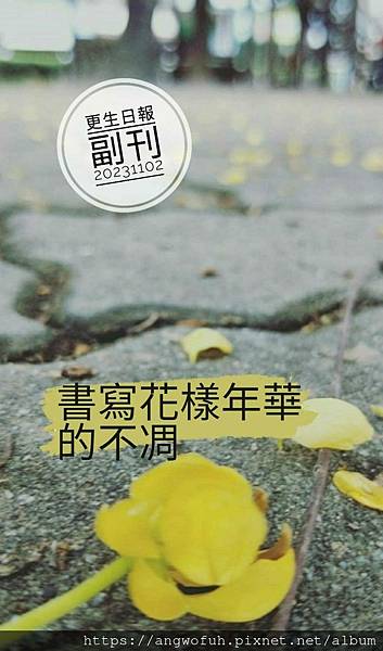 ［更生日報副刊］畫寫花樣年華的不凋 ◎讀者交流信箱：angw