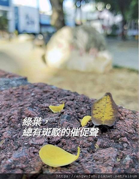 接獲 #葡萄園冬季刊 捎來的拙作二篇刊登作品... ~P14