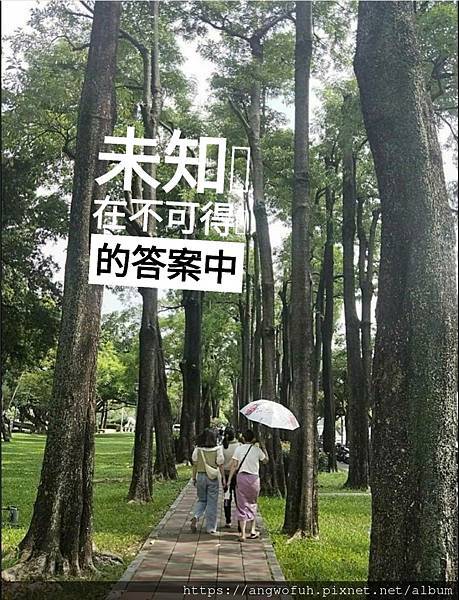 ［更生日報副刊］未知，在不可得的答案中︱合作邀約請來信~an