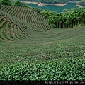 生活美學~石碇.千島湖.文山草堂 2012-10-7(謀臣) 