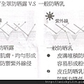 肌膚切面 (大型)