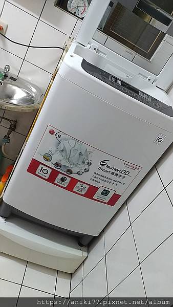 aniki77 momo 洗衣機 東元TECO 10kg D