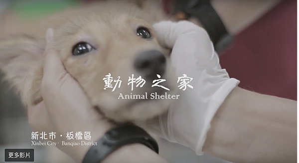 圖片 20.png 圖片 20.png