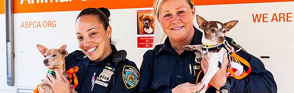 our-response_nypd-partnership_body.jpg our-response_nypd-partnership_body.jpg