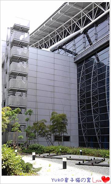 IMAG4721_副本_副本