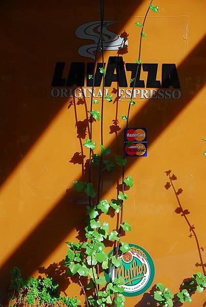 和我一樣在四處張望嗎