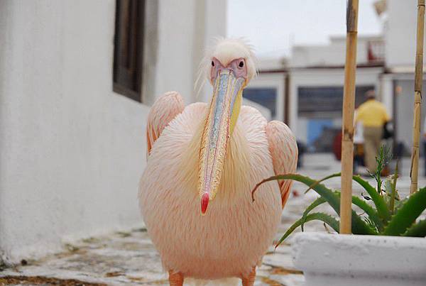 走到無人的角落