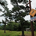 2009_0805_123646.JPG