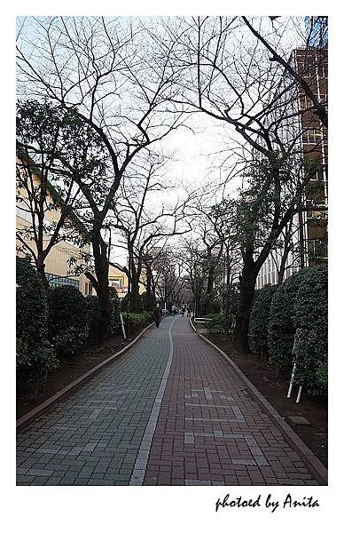 沿著路中央的公園前往住宿處