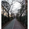 沿著路中央的公園前往住宿處