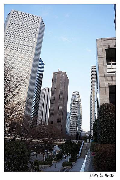 東京都廳附近街道