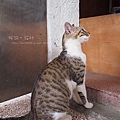 P8180783.JPG