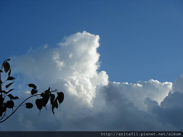 sky sky