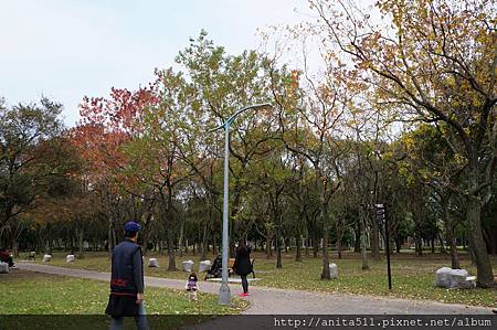 大安森林公園