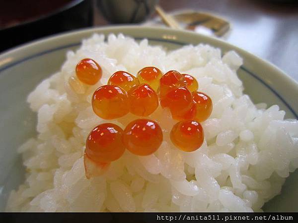 北海道--白飯佐鮭魚卵