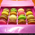 Fauchon Macaron 的寶石!