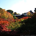 京都 大本山東福寺