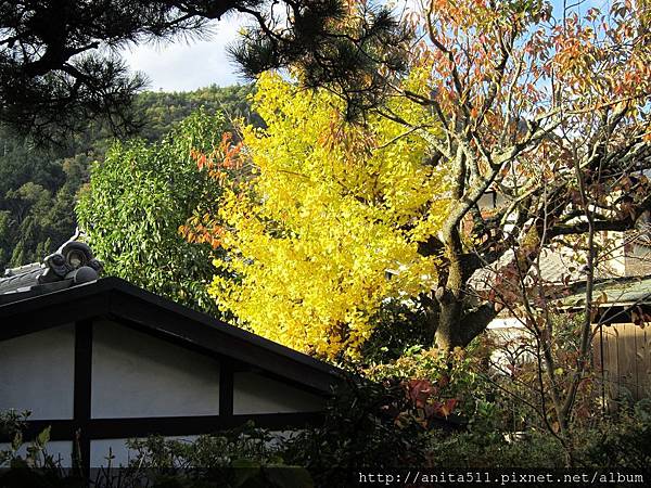 京都 三千院