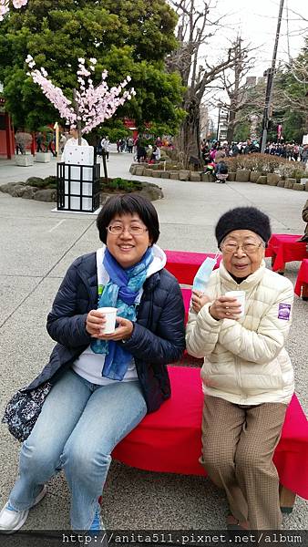 日本賞櫻 日本賞櫻