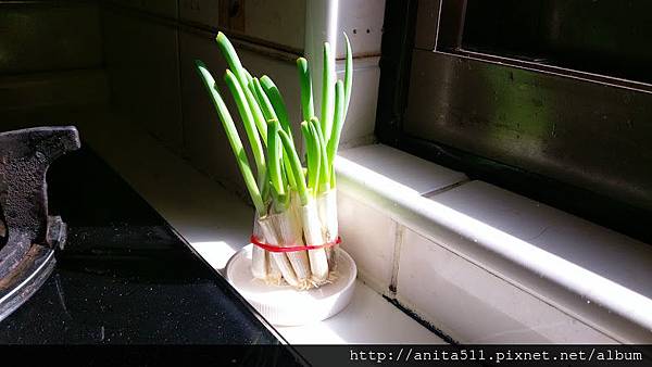 0429.jpg 0429.jpg