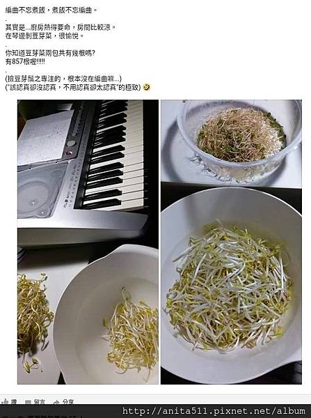 豆芽與編曲