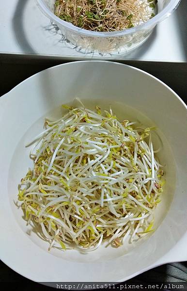 挑豆芽鬚 挑豆芽鬚
