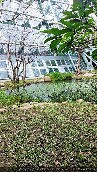 台中科博館植物園