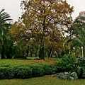 台中科博館植物園