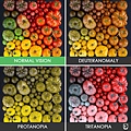 different-types-color-blindness-photos-76.jpg