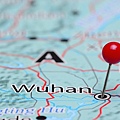 Wuhan Virus Disease.jpg