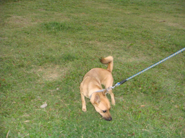 DSC04455.JPG DSC04455.JPG